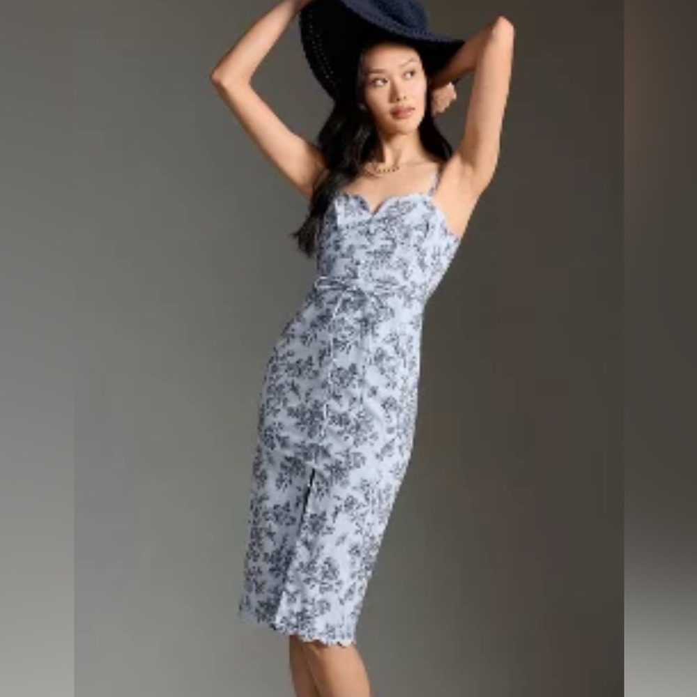 NWT Anthropologie scalloped top dress size 10